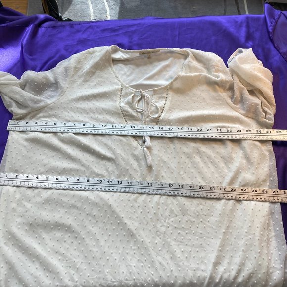 📌Daniel Rainn Chiffon Blouse with Tassel Tie - Picture 9 of 14